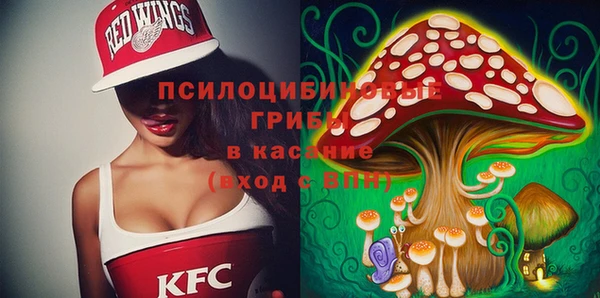 spice Алексин