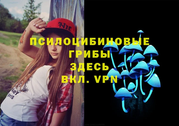 метадон Армянск