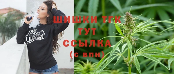 эйфоретик Арсеньев
